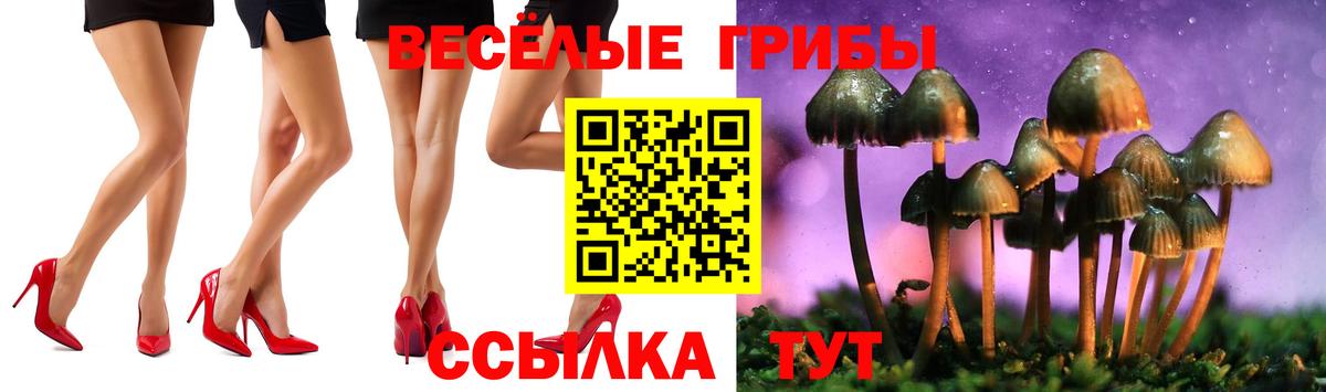 Галлюциногенные грибы MAGIC MUSHROOMS  Вход с VPN  Анжеро-Судженск  Галлюциногенные грибы Psilocybine cubensis 