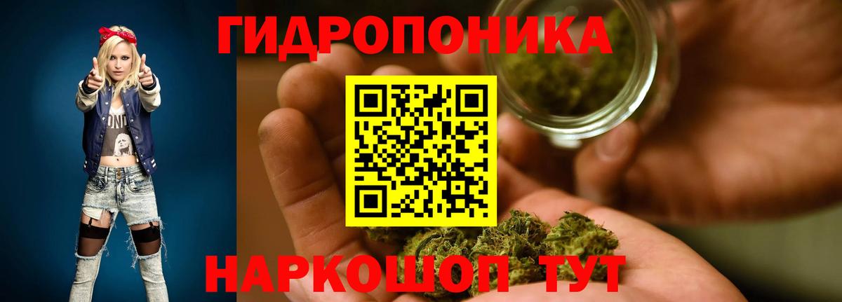 Канабис конопля  Каннабис SATIVA & INDICA  Вход с VPN  Анжеро-Судженск  МАРИХУАНА THC 21% 